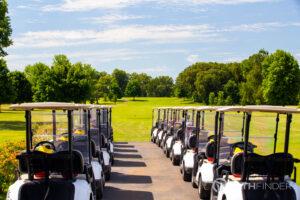 golf carts lined up on the left and right side with greenery trees and sky in the background