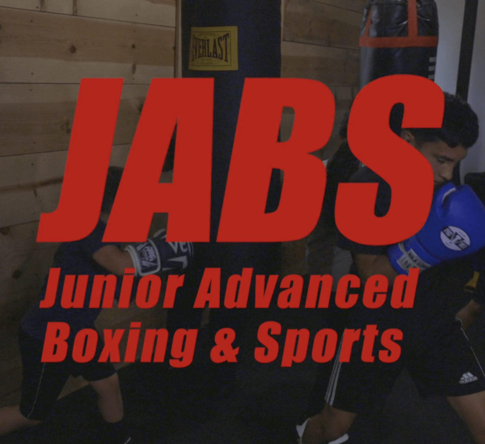 JABS, Promotional Video