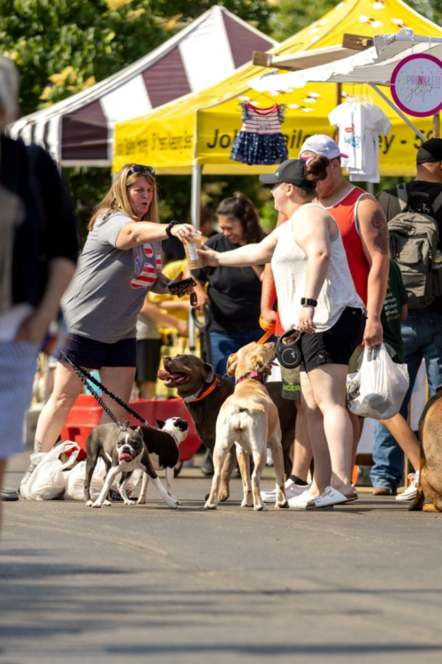 downtown kankakee, kankakee farmers market 2023