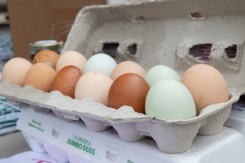 downtown kankakee, kankakee farmers market 2023