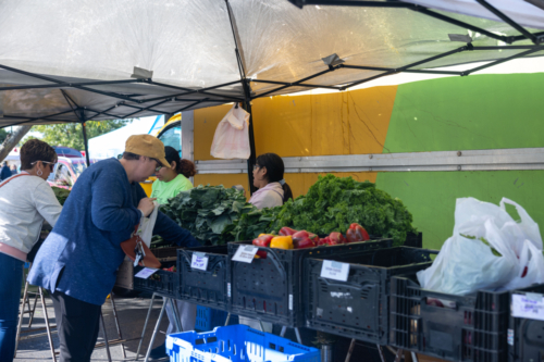 downtown kankakee, kankakee farmers market 2023