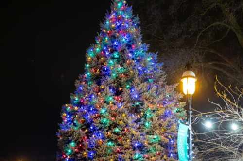 village of bourbonnais christmas tree and lights